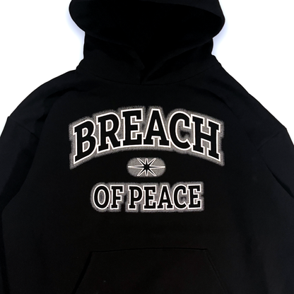 COLLEGIATE FADE HOODIE