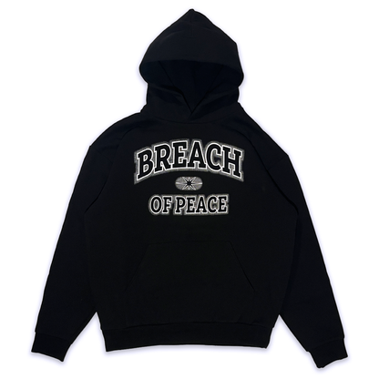 COLLEGIATE FADE HOODIE