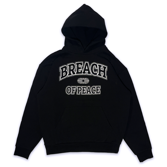 COLLEGIATE FADE HOODIE